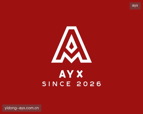 解读ayx公司