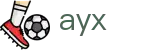 爱游戏 - ayx官方入口 - 会员专属通道